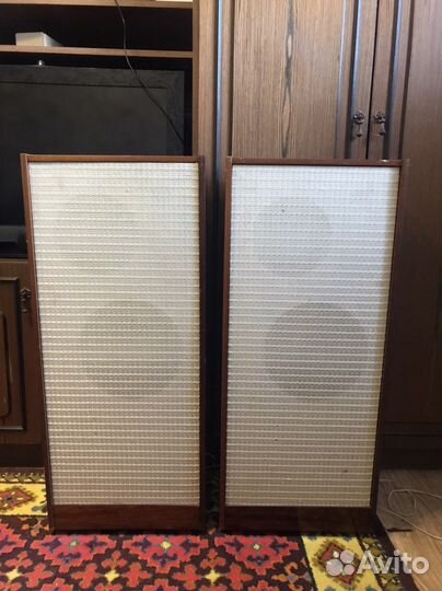 Акустика эстония