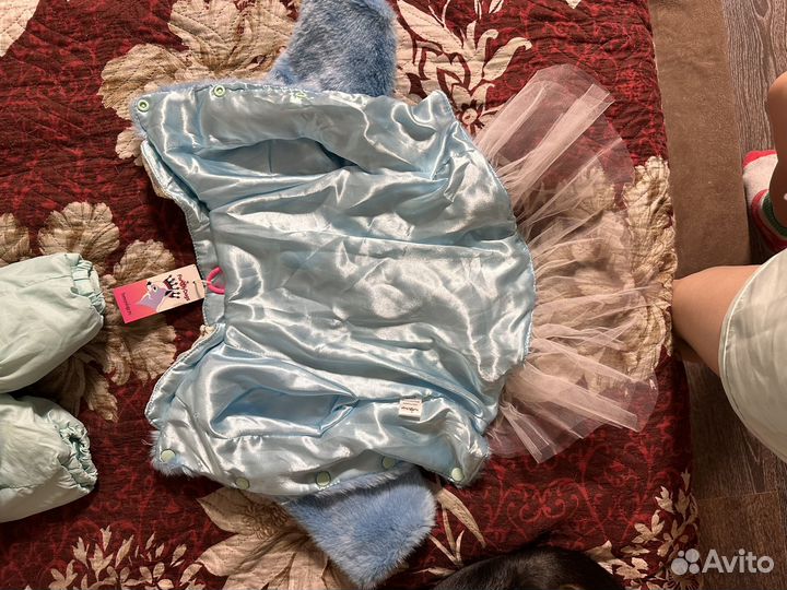 Одежда для собак мелких пород