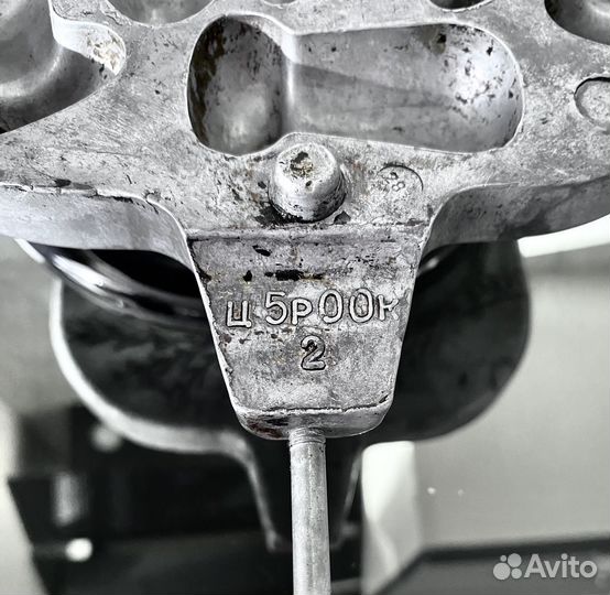 Орешница СССР грибочки