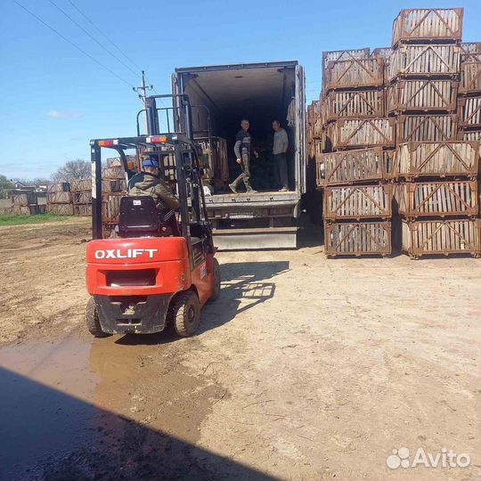 Грузоперевозки переезды газель по межгороду