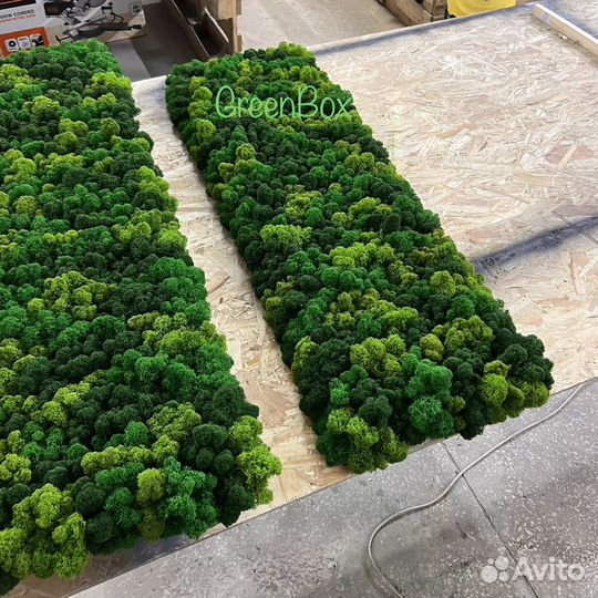 Панно из мха панель со мхом 120*40см