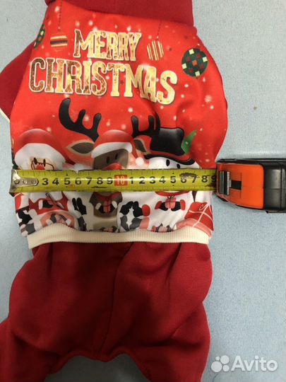 Одежда для мини йорка