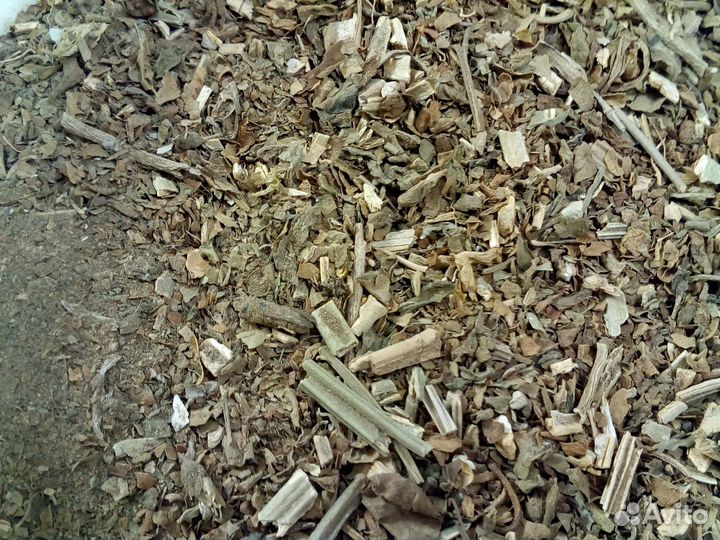 Самосад \ Цена за 100 грамм \