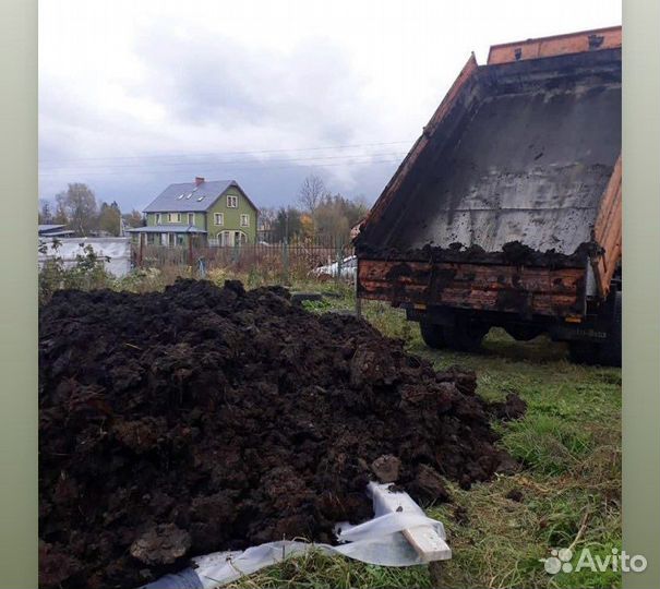 Навоз коровий