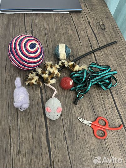 Предметы ухода и игрушки для кошки