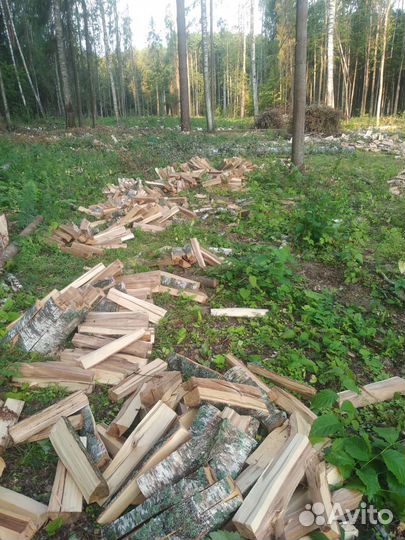 Дрова березовые