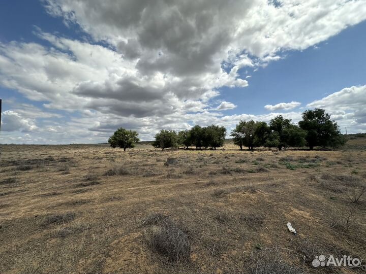 Чабанская точка