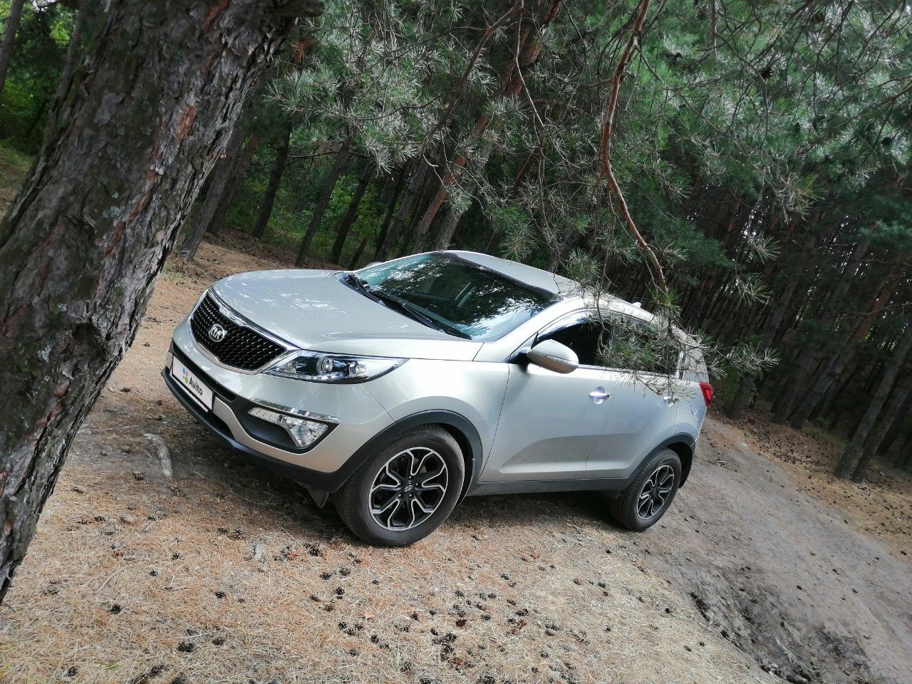 Kia Sportage: фото владельца