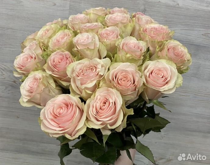 Розы Эквадор премиум