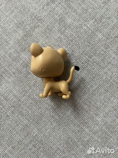 Lps стоячка пет