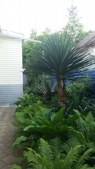 Дом 40 м² на участке 3 сот.