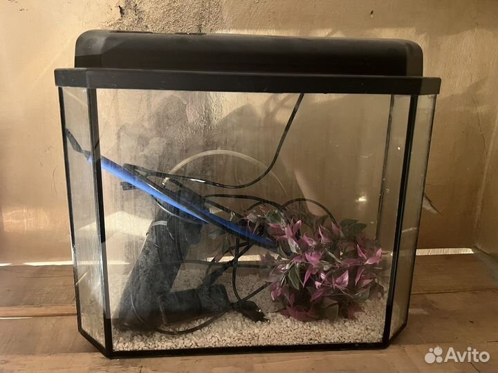 Аквариум с аксессуарами