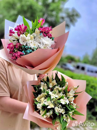 Альстромерия Букет Цветы