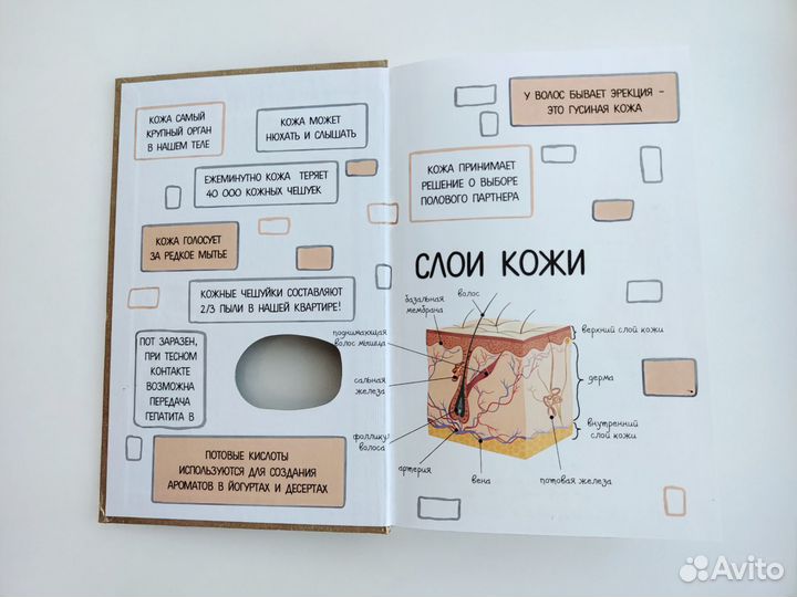 Что скрывает кожа Йаэль Адлер