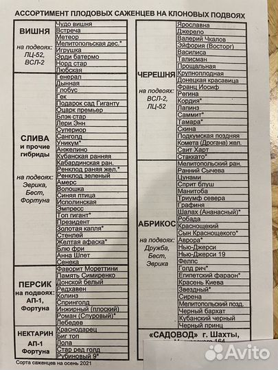 Низкорослые плодовые саженцы