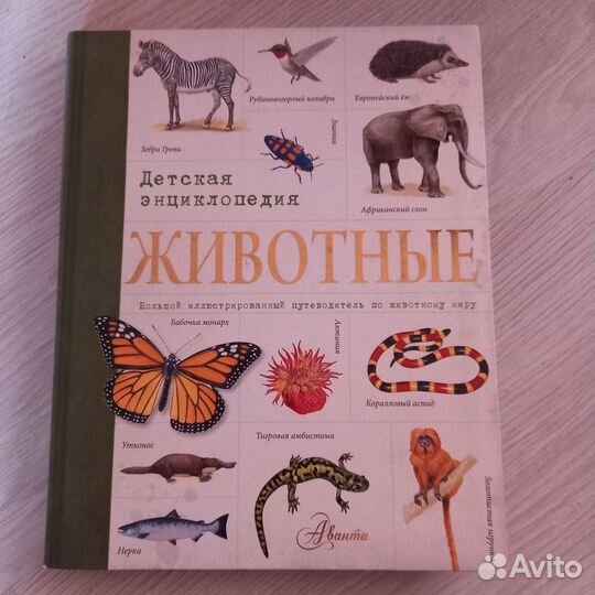 Энциклопедия детская