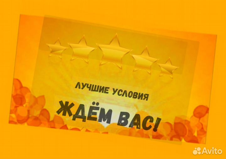 Автоэлектрик вахта Выплаты еженед. Жилье /Еда /Хор