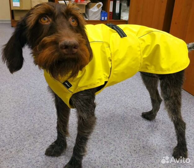 Дождевик-попона для собак(яркая)