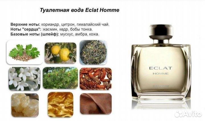 Туалетная вода Eclat Homme (Экла Ом)
