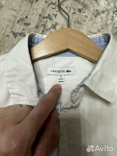 Рубашка Lacoste оригинал для мальчика