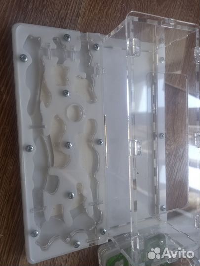 Муравьиные фермы или формикарий