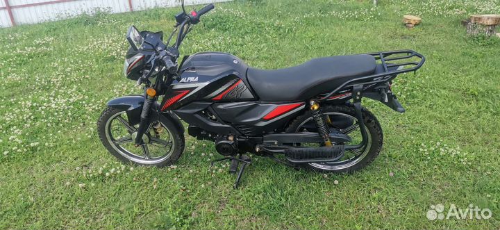 Alpha ZS50-C (rs12 champ)