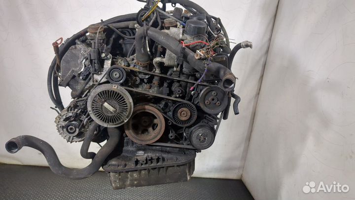 Гур Mercedes Viano, 2005