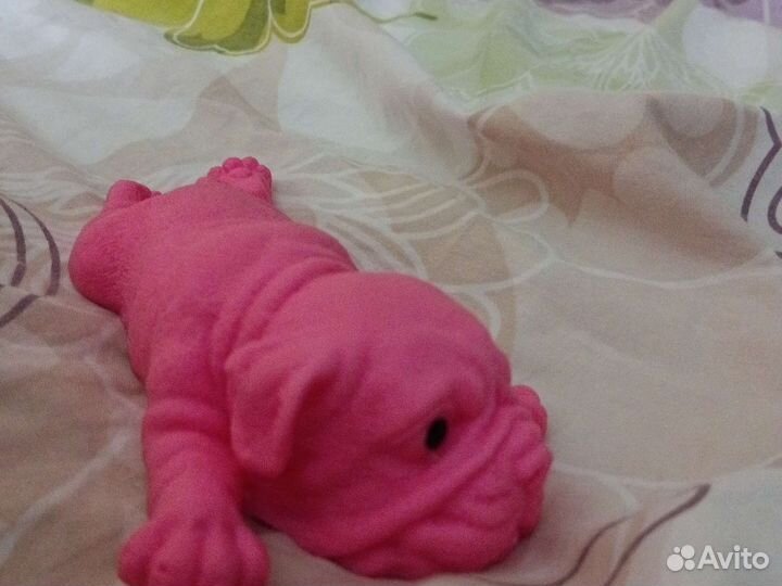 Сквиш собаки