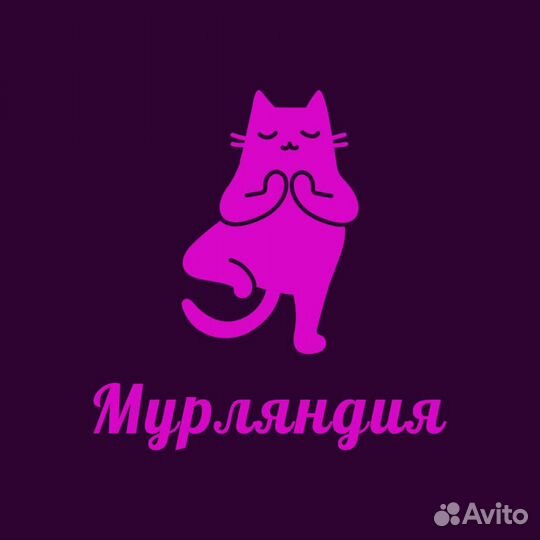 Котоняня в приют для котиков