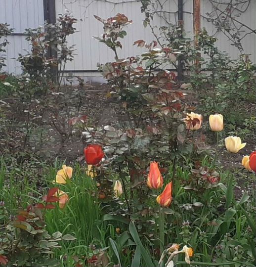 Дом 171 м² на участке 26 сот.