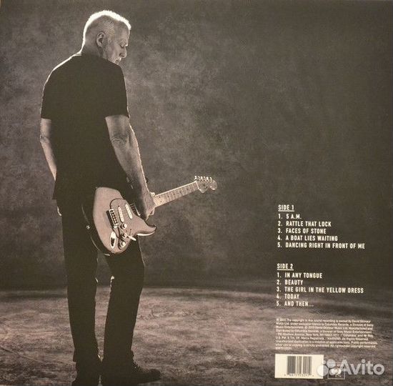 Винил Пластинка David Gilmour 