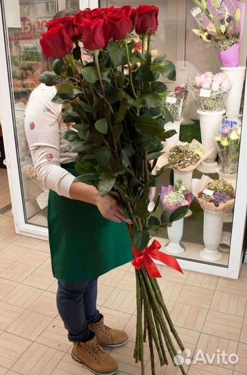 Розы гиганты 140 150 160 170 180 200