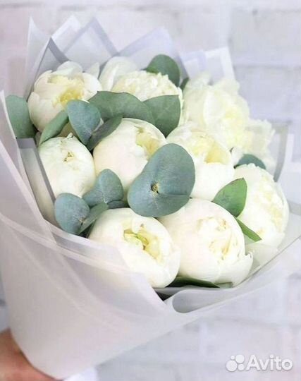 Пионы Цветы Доставка