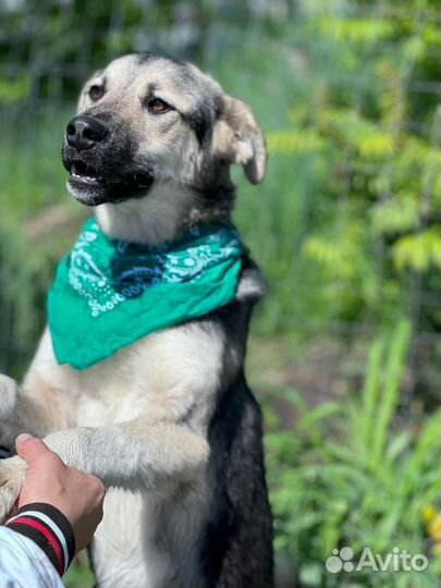 Малыш Буба из приюта ждёт свою семью