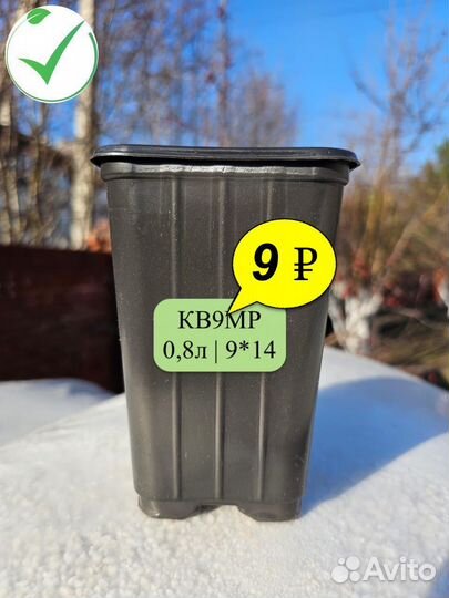 Горшки для рассады