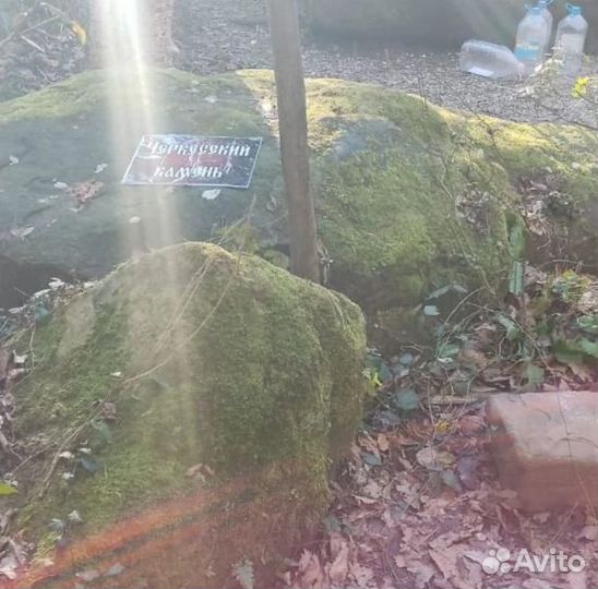 Кудепстенское Лесничество