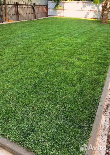 Рулонный газон с доставкой