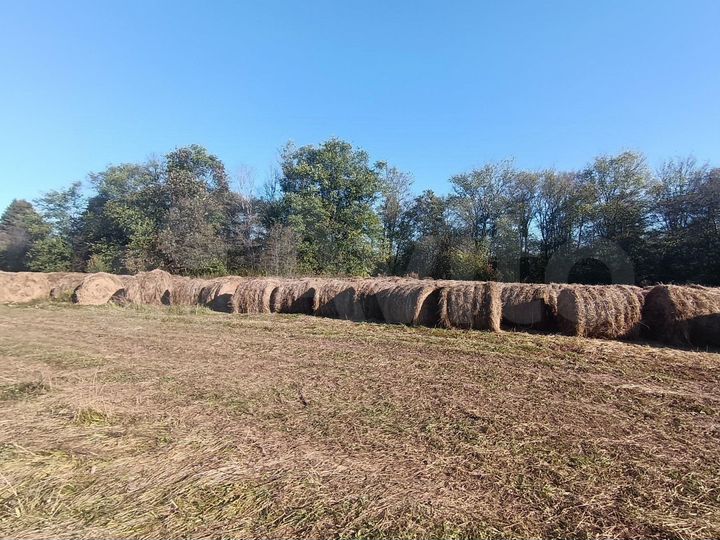 Участок 18 сот. (личное подсобное хозяйство (лпх))