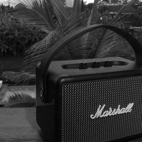 Marshall m13