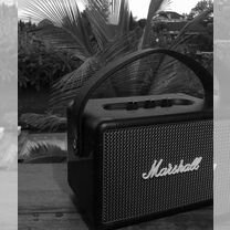 Marshall m13