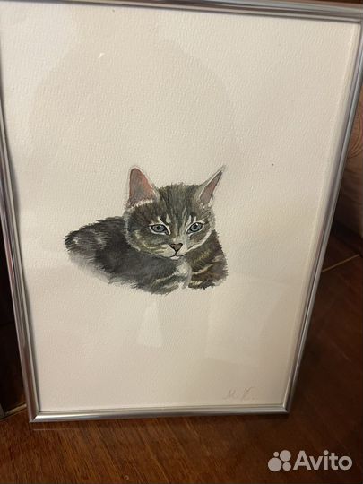 Портрет котёнка