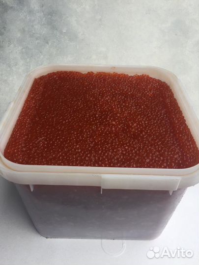 Икра красная 2023 чавыча горбуша