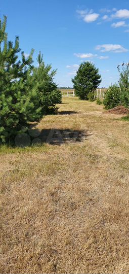 Участок 18 сот. (ИЖС)