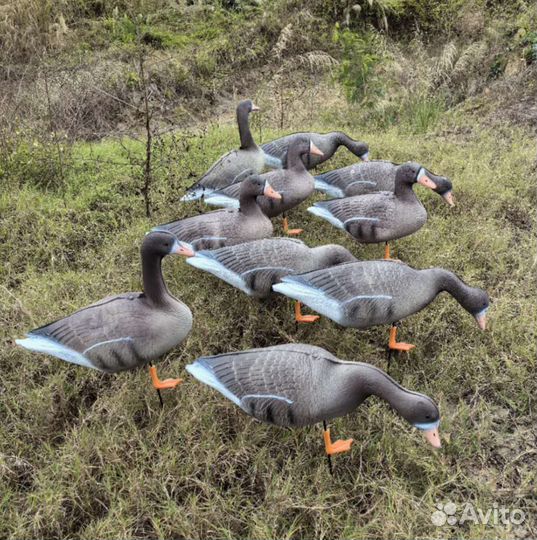 Чучела Белолобых гусей 3D 10шт