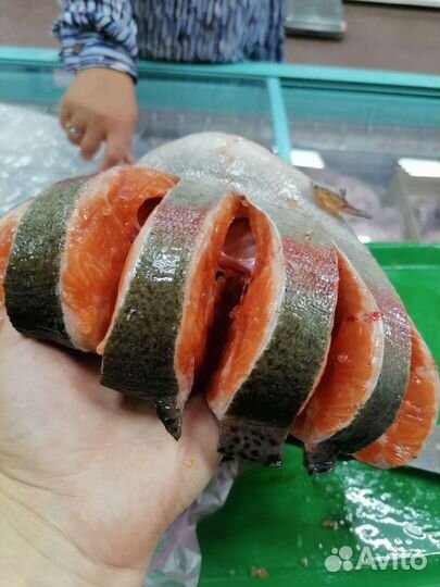 Живая рыба форель