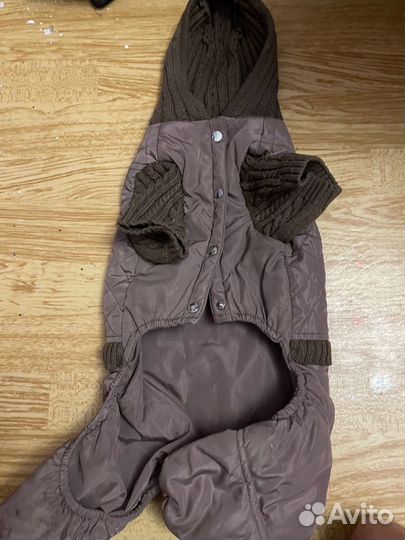 Одежда для собак