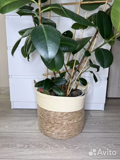 Корзина плетеная аналог sinsay большая