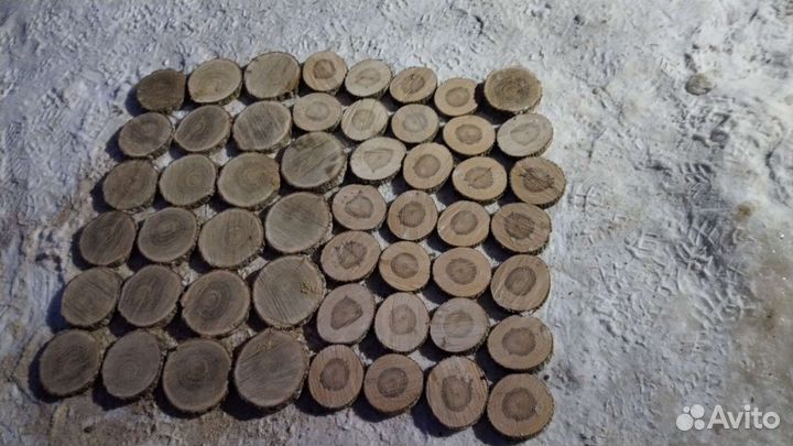 Торцевые спилы деревьев