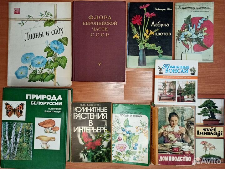 О растениях, садоводство, огородничество