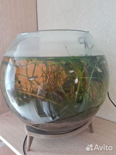 Аквариум 20 литров